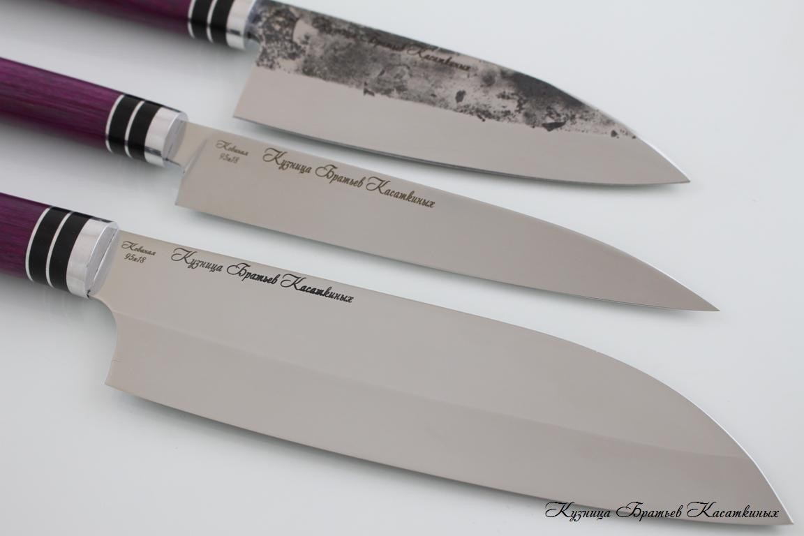 Kitchen Knife Set "Sacura". 95kh18 Steel (hammered). Amaranth Handle